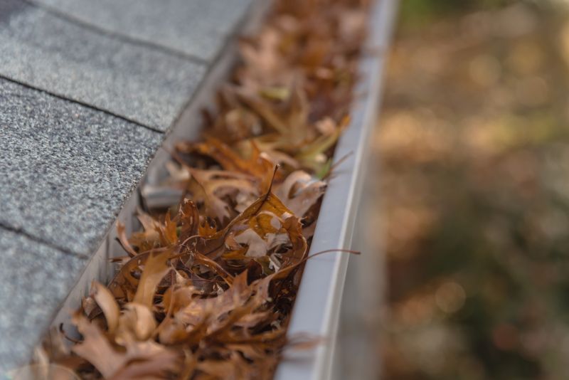Debris-Free Gutters